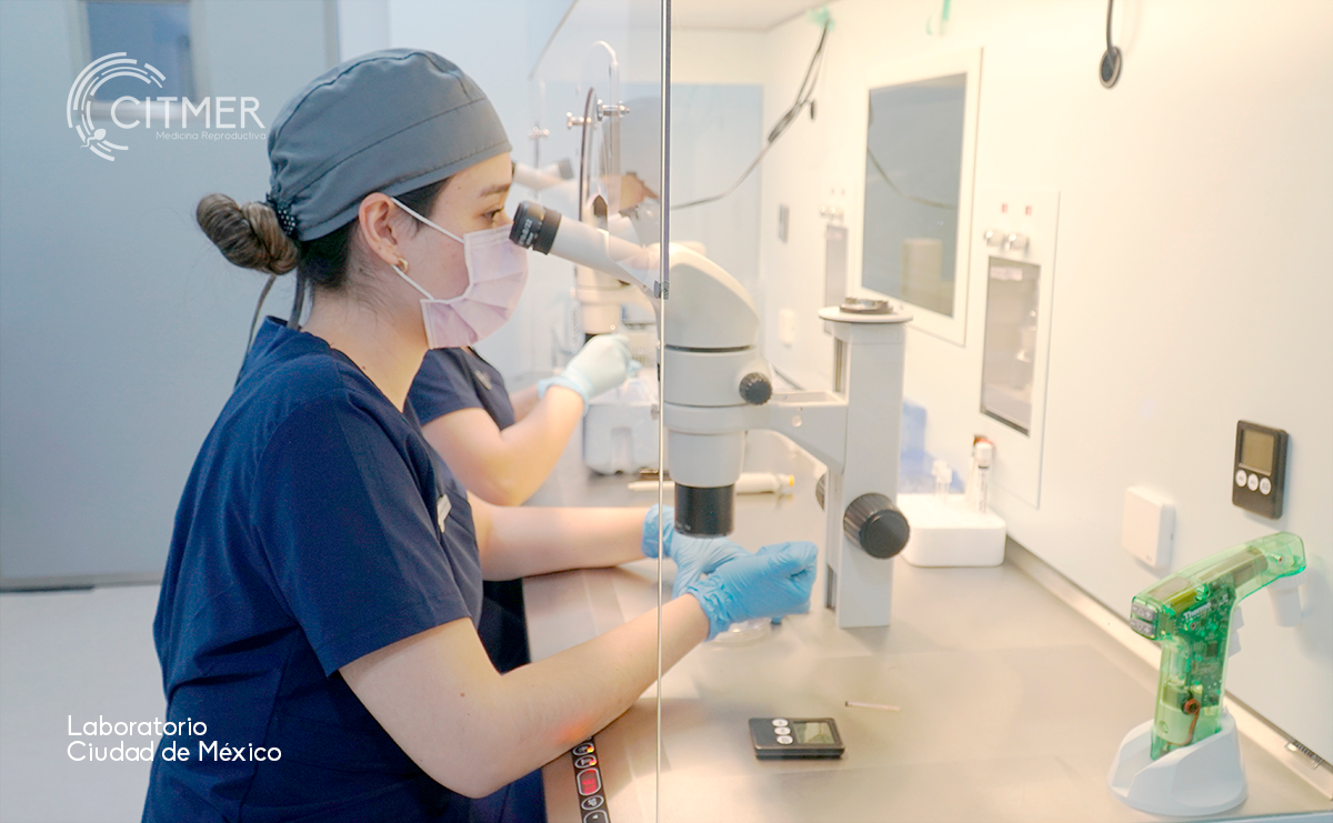 Citmer Reproductive Medicine