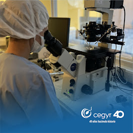 Centro de Estudios en Ginecología y Reproducción (CEGyR)